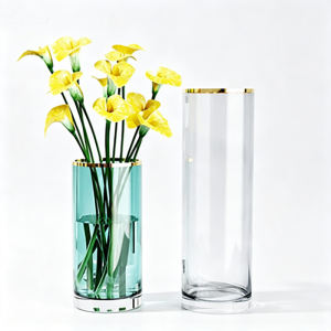 Luxury Gold Rim Cylinder Glass Vase | Pantone Color Spray Straight Tube Modern Floral & Centerpiece Decor